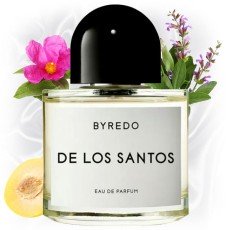 BYREDO DE LOS SANTOS