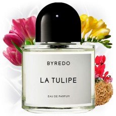 BYREDO LA TULIPE