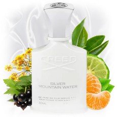 CREED SILVER MOUNTAIN WATER